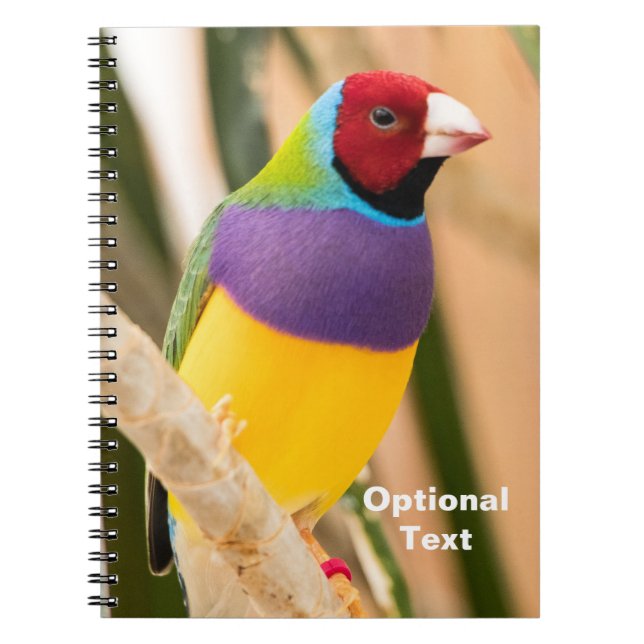 Carnet Lady Gouldian Finch (Devant)