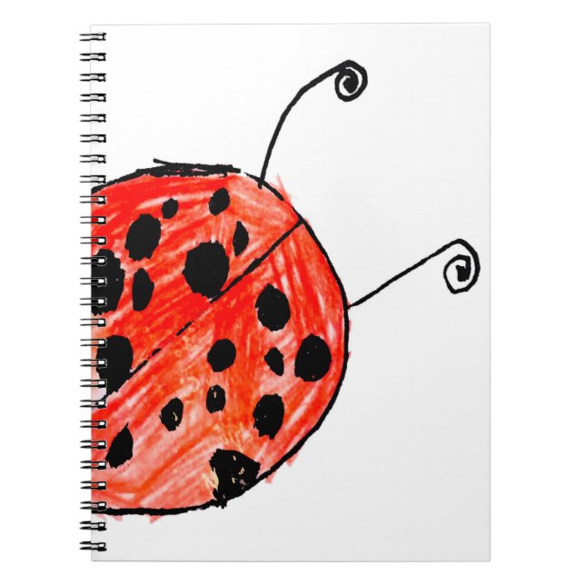 Carnet Ladybug (Devant)