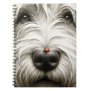 Carnet Ladybug sur le nez de Shaggy Dog