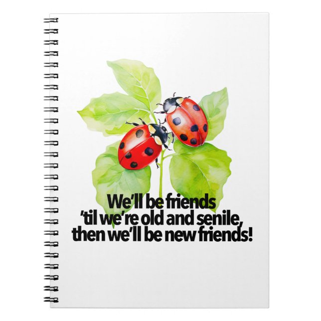 Carnet Ladybugs friendship quote funny Anniversary BFF (Devant)