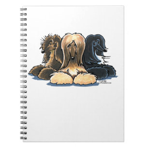 Carnet L'Afghanistan en porte trois