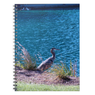 Carnet Laisse les couleurs être votre guide