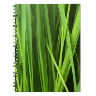 Carnet Lames d'herbe