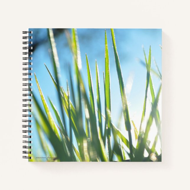 Carnet Lames éclairées (Devant)