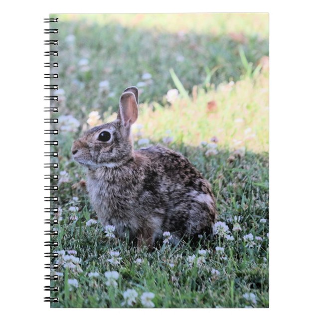 Carnet Lapin (Devant)