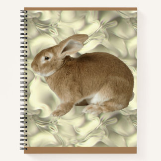 Carnet lapin 
