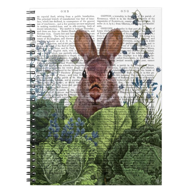 Carnet Lapin dans une patte de chou (Devant)