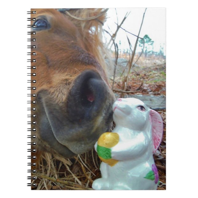 Carnet Lapin de Pâques et cheval Brown (Devant)