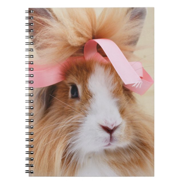 Carnet Lapin Lapin Lapin Lionhead Fluffy (Devant)