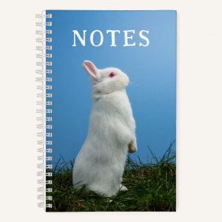 Carnet Lapin lapin mignet