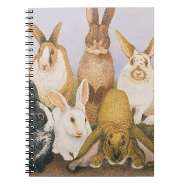 Carnet Lapins chanceux (Devant)