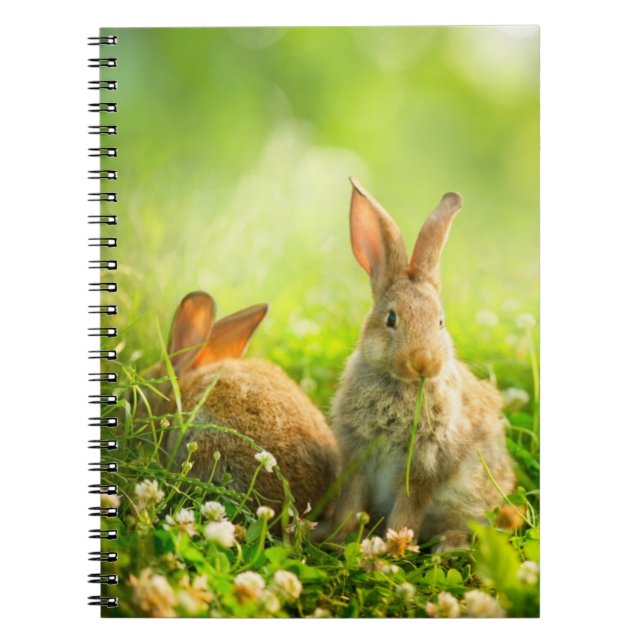 Carnet Lapins de Pâques (Devant)
