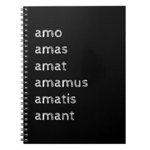 Carnet latin, Amo amas amat
