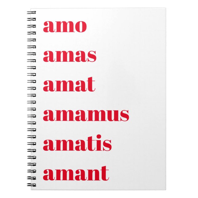 Carnet latin, Amo Amas Amat, Thème Schooldays (Devant)