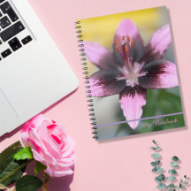 Lavender Lily Spiral