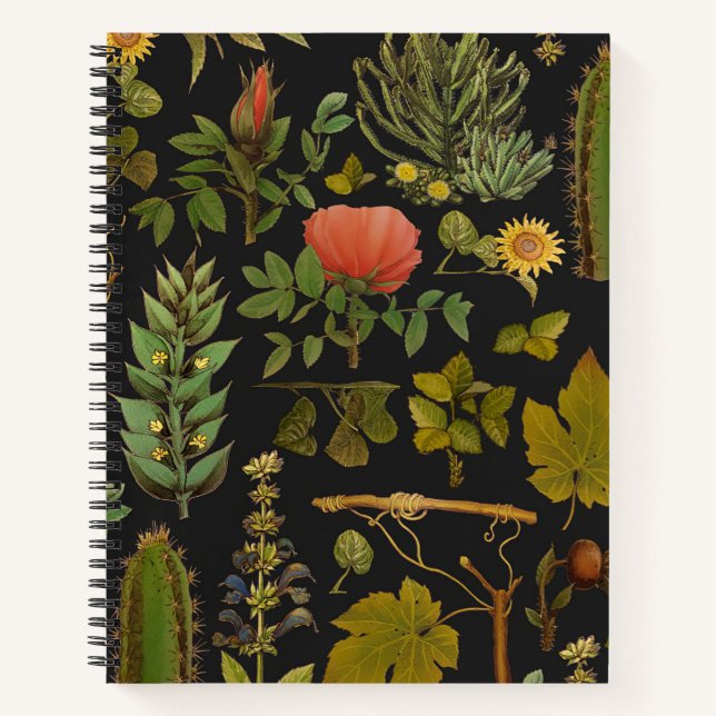 Carnet Le cactus vert (Devant)