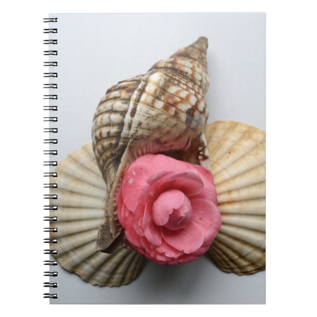 Carnet Le camélia et les coquilles (Devant)