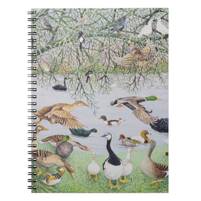 Carnet Le canard impair (Devant)