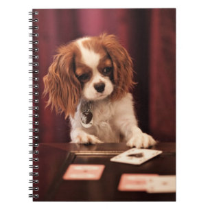 Carnet Le chiot joue aux cartes