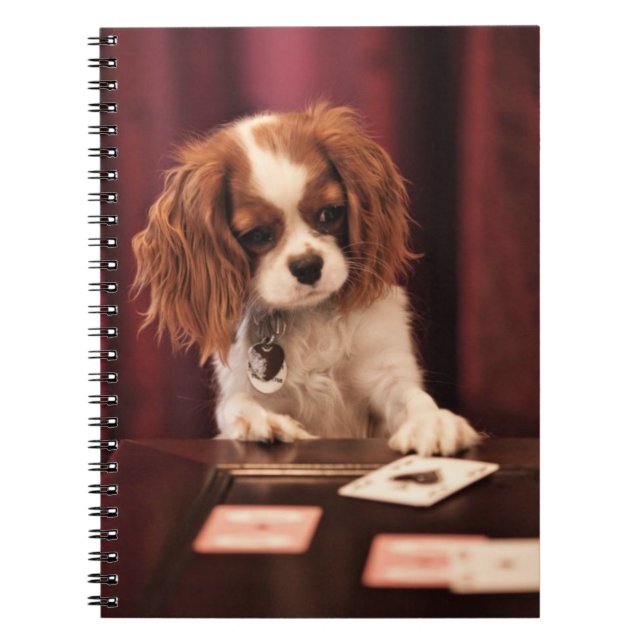 Carnet Le chiot joue aux cartes (Devant)