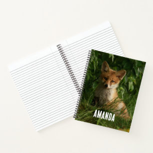 Carnet Le chou renard dans une forêt verte
