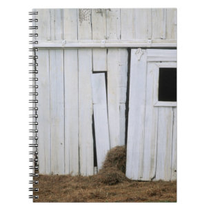 Carnet Le collage de cheval dirigent la fenêtre de grang