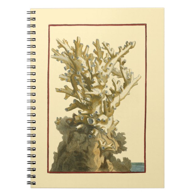 Carnet Le corail de la mer (Devant)