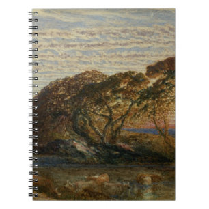 Carnet Le courant ombragé