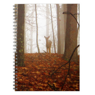 Carnet Le Démon