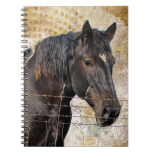 Carnet Le doux, un cheval à tirant