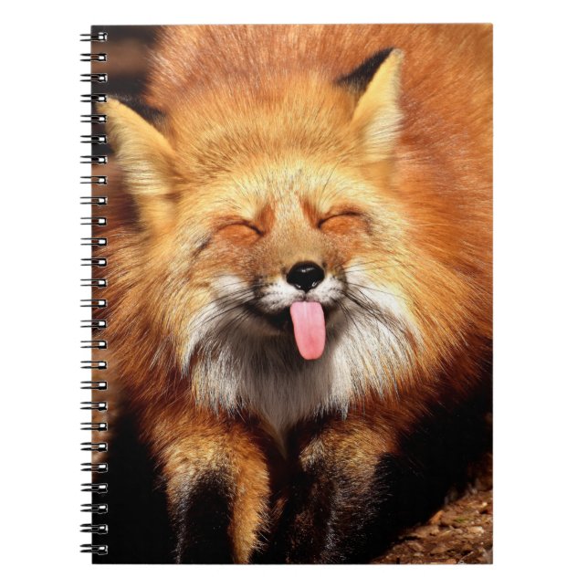 Carnet Le Fox drôle le collant est langue (Devant)