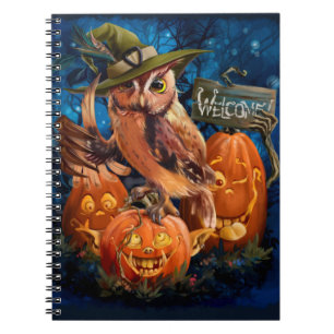Carnet Le hibou dans la casquette magique et ses amis cit