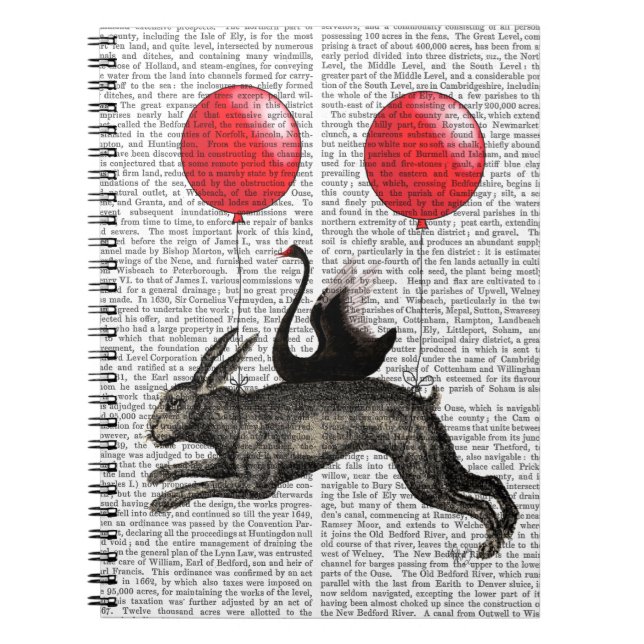 Carnet Le lièvre (Devant)