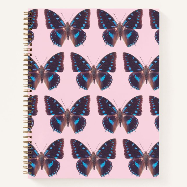 Carnet Le Papillon à queue bleue (Devant)
