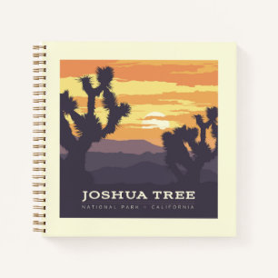 Carnet Le Parc national de Joshua Tree   Californie