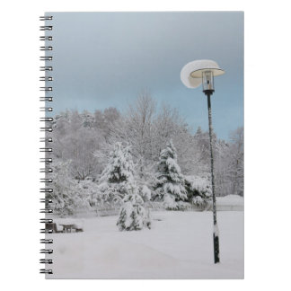 Carnet Le pays des merveilles d'hiver