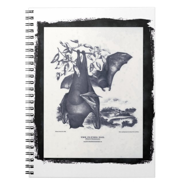 Carnet Le renard volant (Devant)