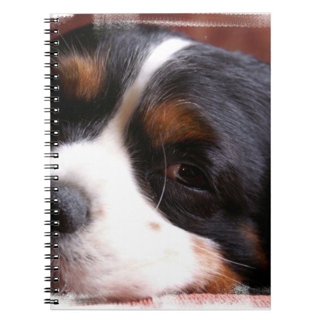 Carnet Le Roi Charles Cavalier Notebook (Devant)