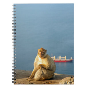 Carnet Le singe barbare de Gibraltar