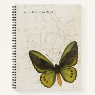 Carnet Le Titan de la Forêt Tropicale – Papillon de Cairn