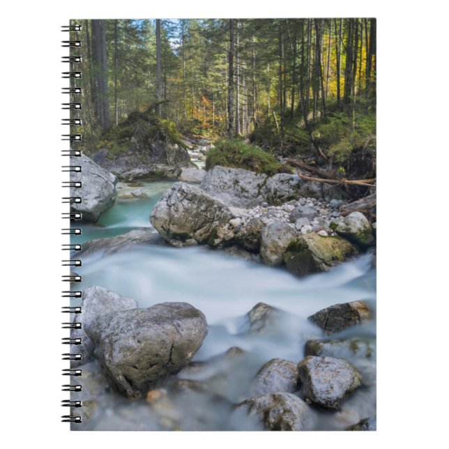 Carnet Le torrent Ramsauer Ache (Devant)