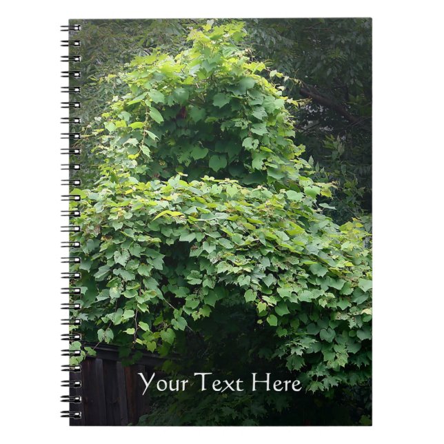 Carnet Le trône de la nature (Devant)