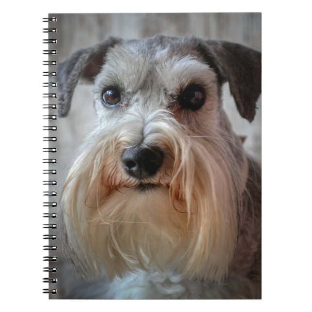 Carnet Le visage de Schnauzer Dog (Devant)