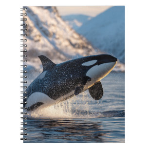 Carnet Leaping Orca Arctic Ocean Wildlife Art