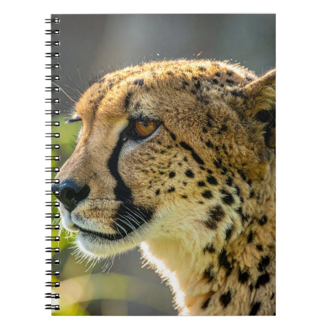Carnet leopard (Devant)