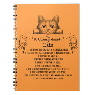 Carnet Les 10 commandements des chats drôles