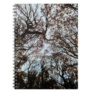 Carnet Les arbres d'automne
