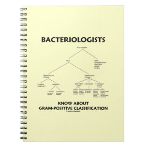 Carnet Les bactériologistes connaissent la classificatio