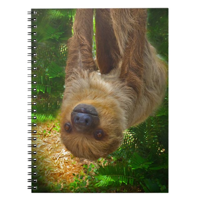 Carnet Les cadeaux de Sloth Rainforest (Devant)