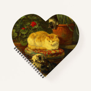 Carnet Les chatons en jeu